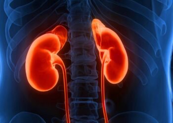 Estes 3 alimentos têm efeitos nocivos nos rins