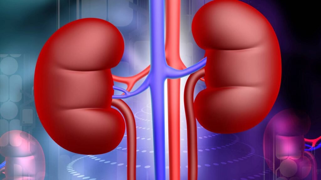 Estes 3 alimentos têm efeitos nocivos nos rins