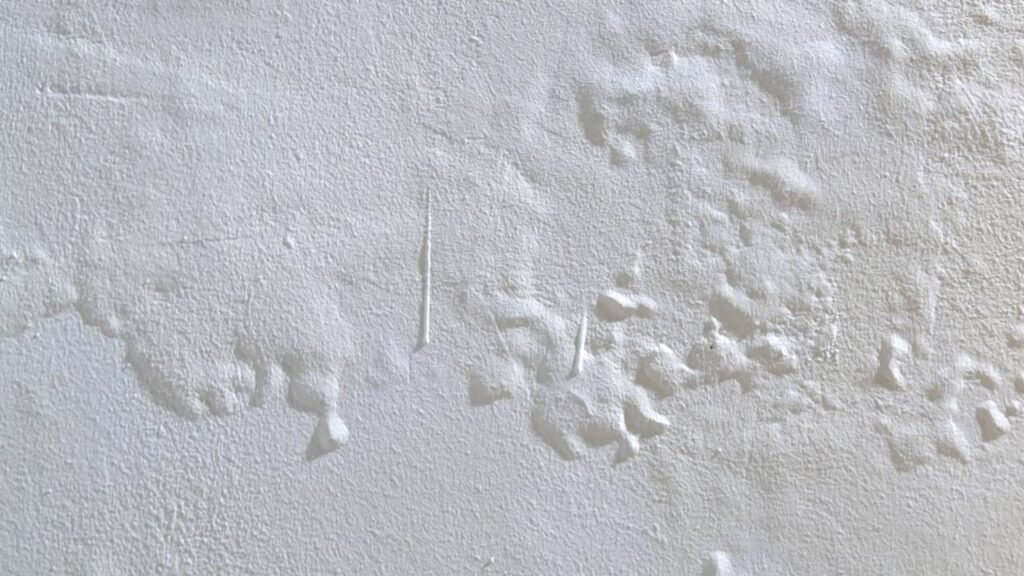 Poucos sabem: como remover salitre de paredes de cimento