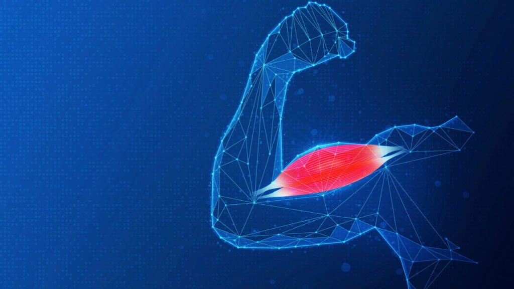 Como a creatina pode beneficiar não só atletas, mas também idosos