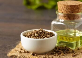 A semente rica em ferro que pode melhorar a saúde intestinal