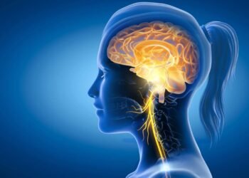 E se fosse possível treinar seu sistema nervoso para deixar sua imunidade mais forte?