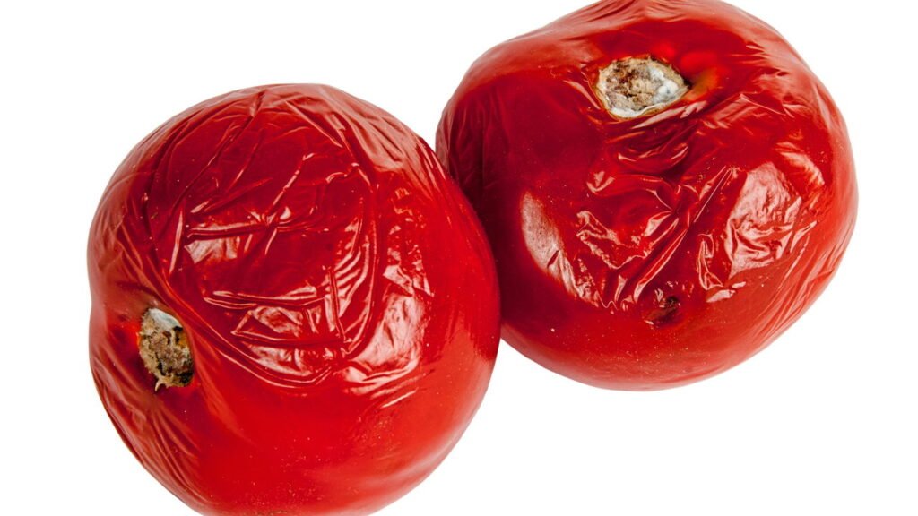 Não é coincidência: por que os tomates ficam enrugados quando armazenados na geladeira