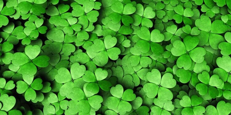 O que significa achar um trevo de quatro folhas