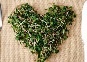 O vegetal que protege o intestino, fígado e o coração em um só prato