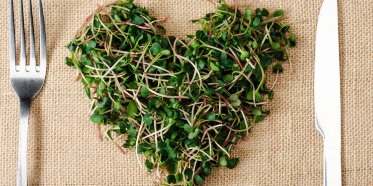 O composto bioativo sulforafano presente no brócolis estimula enzimas de defesa e reduz o dano oxidativo ao DNA - Créditos: depositphotos.com / VitalikRadko