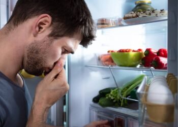 Quais frutas e vegetais não devem ser colocados na geladeira