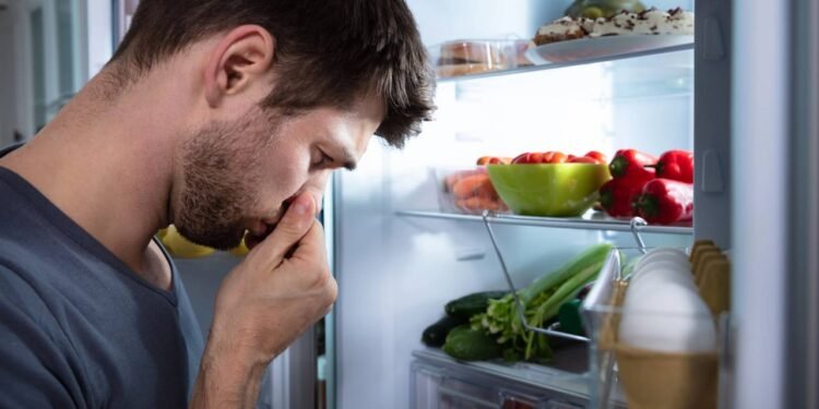 Quais frutas e vegetais não devem ser colocados na geladeira