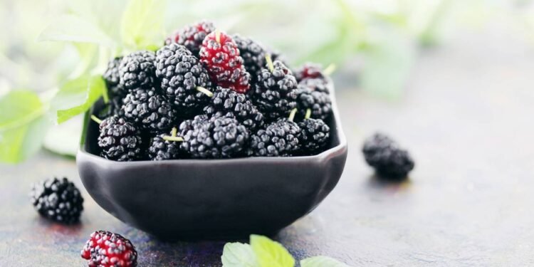 Amora - Créditos: depositphotos.com / mallivan