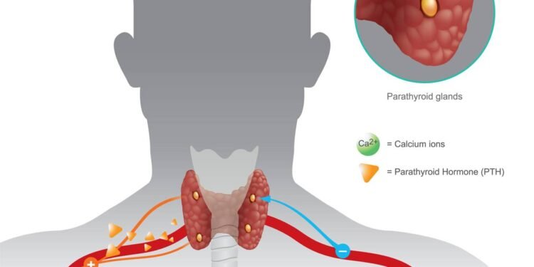 Caroços no Pescoço - Créditos: depositphotos.com / pattarawit