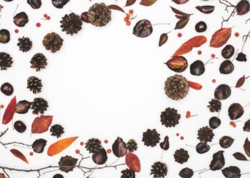 Castanhas ajudam a emagrecer? Saiba como