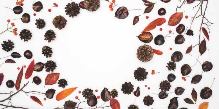 Castanhas - Créditos: depositphotos.com / ViktoriaSapata