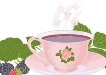 O chá de amora que está surpreendendo especialistas