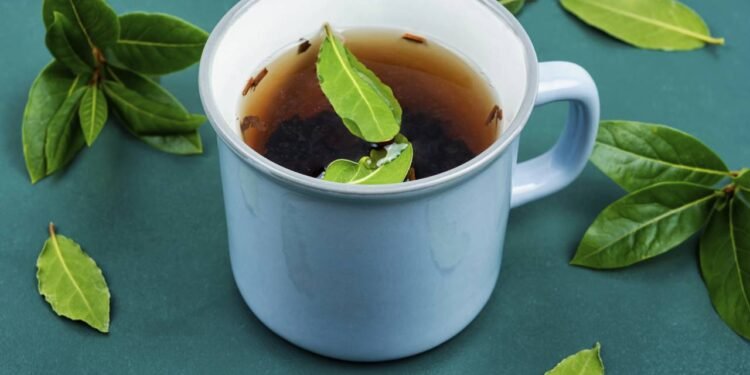 Chá de Louro - Créditos: depositphotos.com / Nikolay_Donetsk