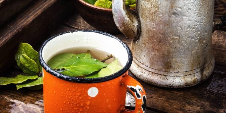 Chá de Louro - Créditos: depositphotos.com / Nikolay_Donetsk