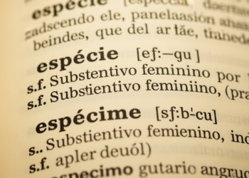 Qual é a forma certa de escrever, espécie ou espécime?