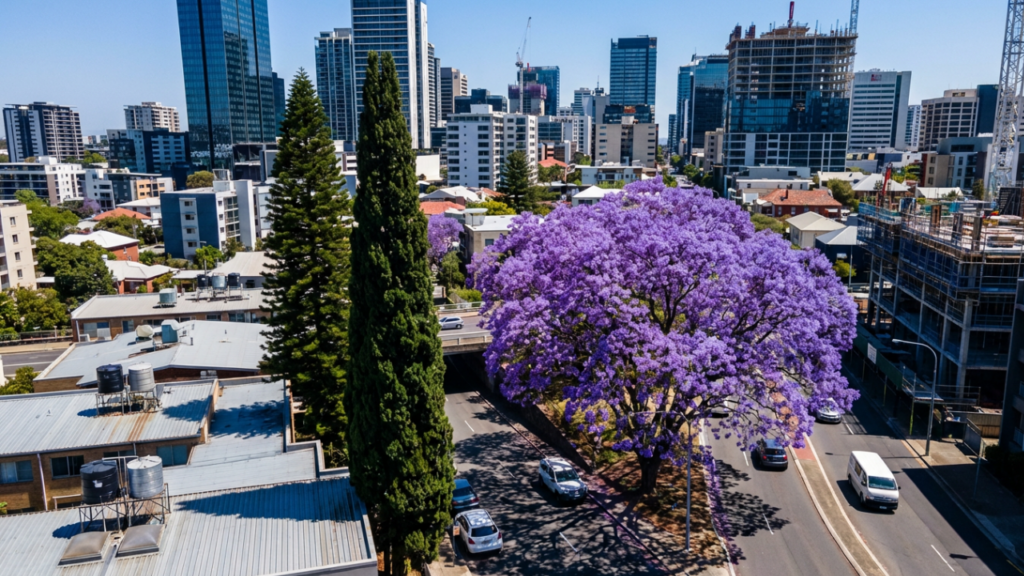 Essa cidade de Santa Catarina vive o futebol intensamente e se destaca pela prosperidade econômica
