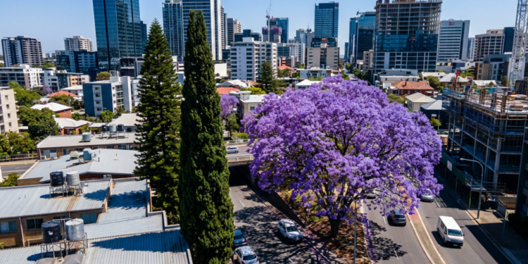 A cidade catarinense que impressiona com seu desenvolvimento e moradia com segurança reforçada