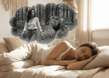 O que significa sonhar com um animal te seguindo?