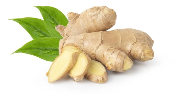 Gengibre - Créditos: depositphotos.com / tonwanniwat44
