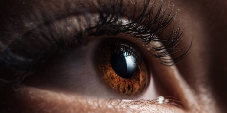 Sensação de Estar Sendo Observado - Créditos: depositphotos.com / VadimVasenin