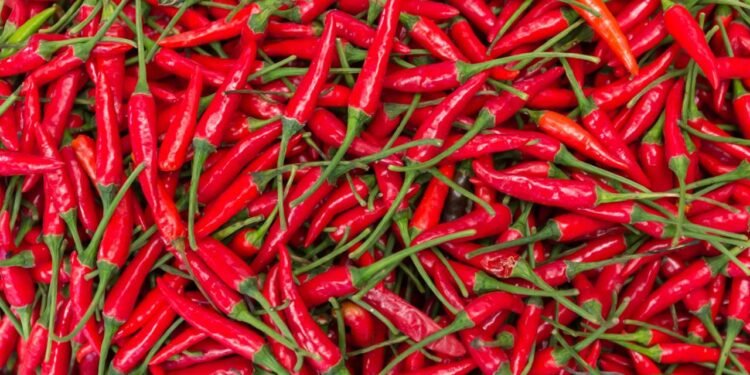 Pimentas - Créditos: depositphotos.com / efmukel2