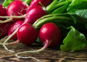 Esta raiz é a mais poderosa para desintoxicar o fígado rapidamente