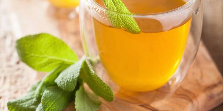 A sálvia é rica em polifenóis e flavonoides, compostos naturais que atuam como antioxidantes - Créditos: depositphotos.com / duskbabe