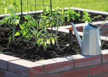 A mini horta perfeita para qualquer casa que é simples de montar e fácil de manter