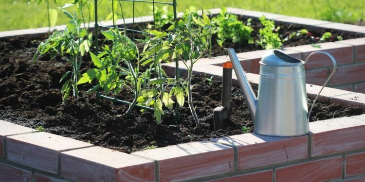 Ter uma horta em casa é divertido, relaxante e ajuda a tornar as refeições mais saborosas. // Créditos: depositphotos.com / vaivirga