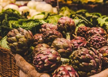 O passo a passo que usei para fazer minhas alcachofras crescerem rápido