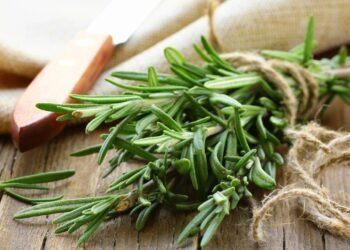 O segredo natural que ajuda a memória e cuida do fígado ao mesmo tempo