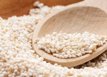 Esse grão antigo está voltando às mesas por seus incríveis benefícios à saúde