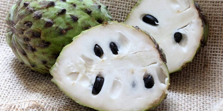 Esta fruta exótica tem preferência por regiões de clima tropical - Créditos: depositphotos.com / Marcotga