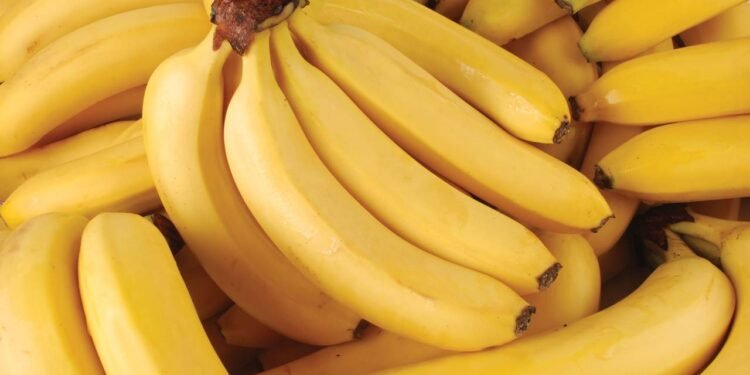 Um termo específico nomeia grupos de bananas, muito usado na feira e no mercado. // Créditos: depositphotos.com / MSeN