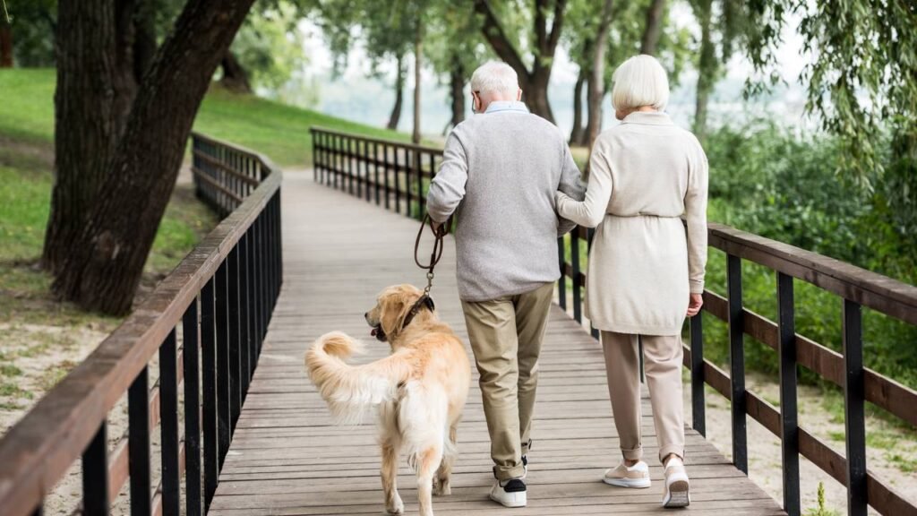 Com que idade você começa a se considerar um cachorro velho, segundo veterinários