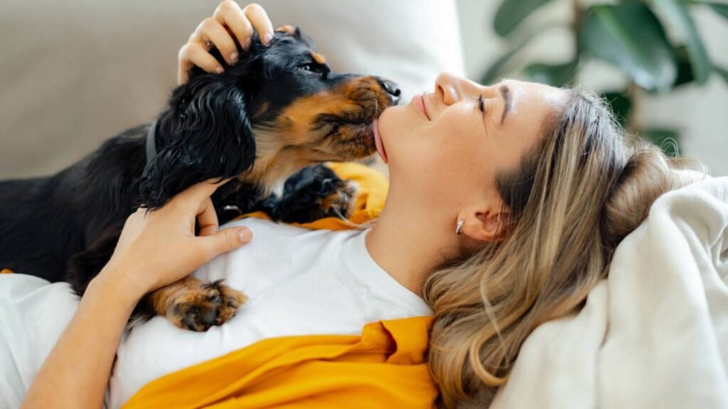 Por que ter um cachorro pode prolongar a vida, segundo a ciência