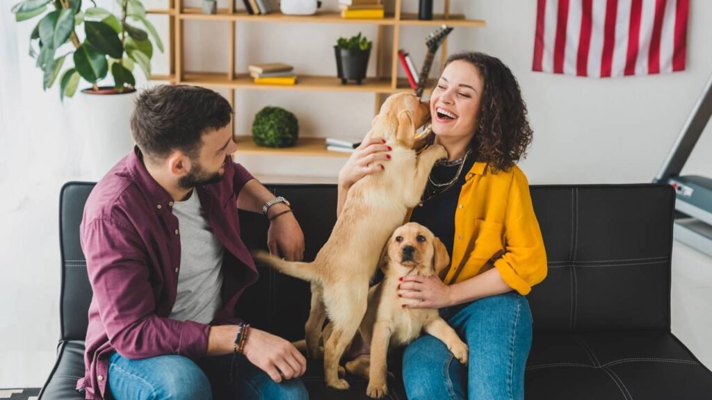 O que a psicologia diz sobre as pessoas que amam cães?