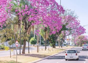 Essa cidade brasileira está crescendo rápido e oferece uma qualidade de vida cada vez melhor