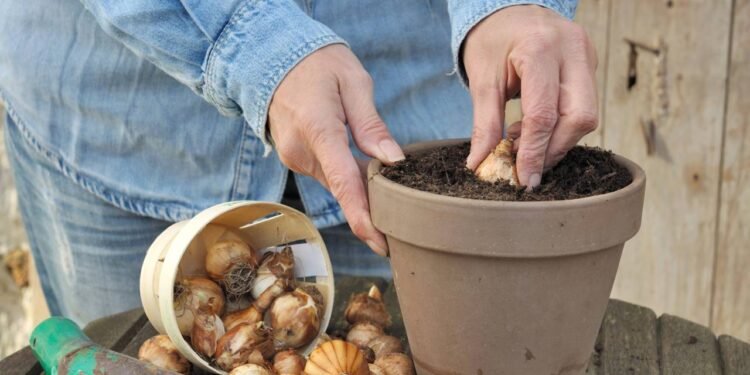Evitar o uso excessivo de fertilizantes químicos - Créditos: depositphotos.com / sanddebeautheil