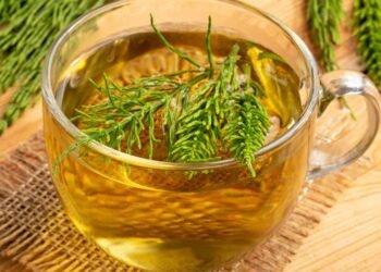 A erva natural que alivia desconfortos urinários e reduz retenção de líquidos