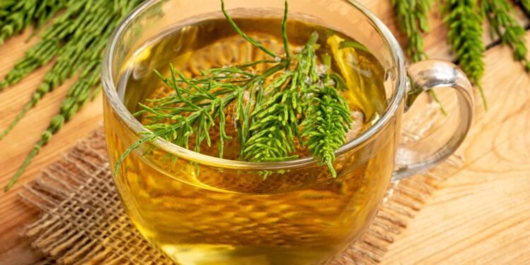 Além de atuar de forma positiva na saúde urinária, a cavalinha apresenta propriedades diuréticas, anti-inflamatórias e antioxidantes - Créditos: depositphotos.com / MadeleineSteinbach