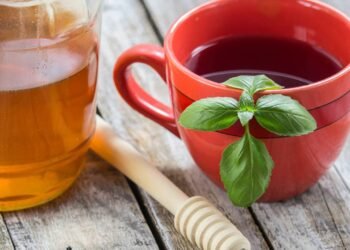 A planta que alivia desconfortos intestinais e fortalece suas defesas