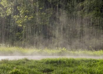 O verdadeiro motivo por que sentimos o cheiro da chuva antes dela cair