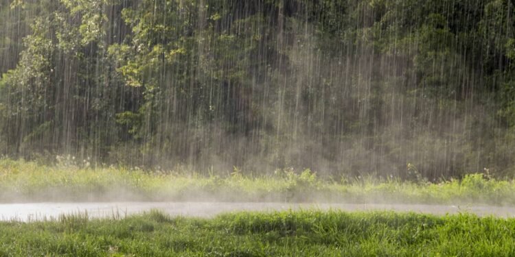 A formação desse aroma ocorre a partir da interação entre gotas de chuva e o solo seco - Créditos: depositphotos.com / were-photography