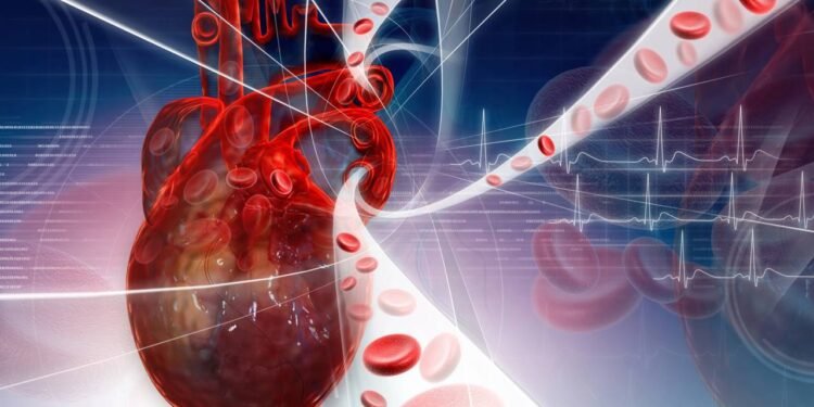 circulação sanguínea - Créditos: depositphotos.com / rbhavana