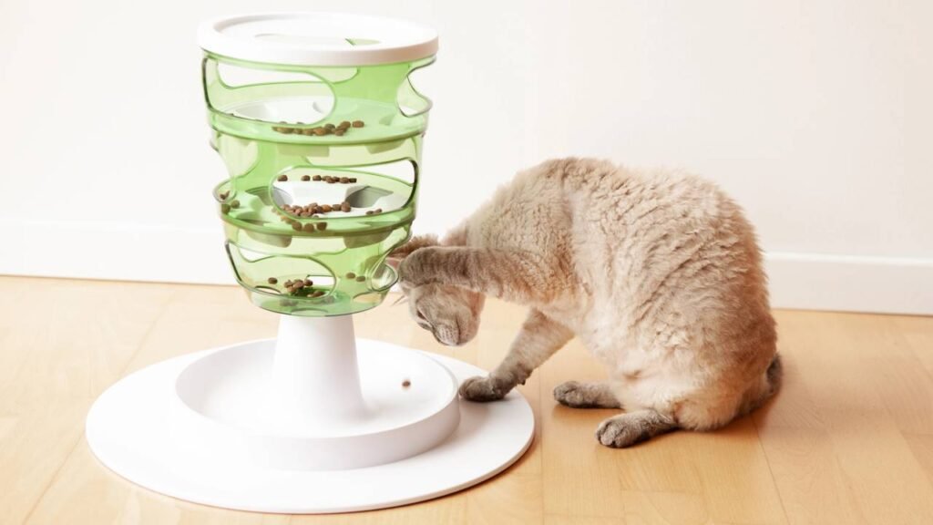 Qual o melhor tipo de comedouro para gatos?