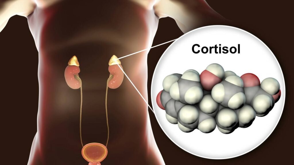 Se seu corpo apresenta esses sinais, você pode estar com excesso de cortisol e por isso está ganhando peso