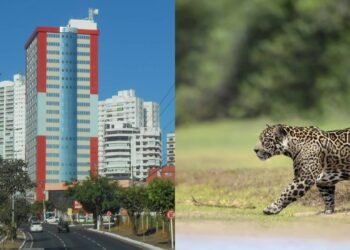 A cidade perto do Pantanal que esconde uma vida surpreendentemente tranquila
