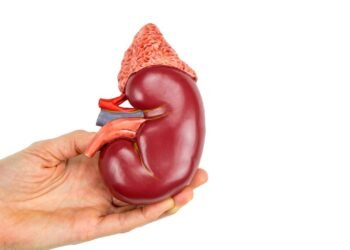 A Doença renal crônica que cresce de forma assustadora no país